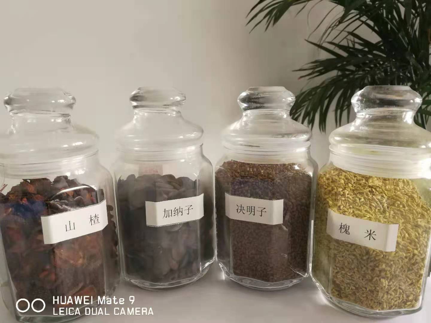 上海电商牡丹籽油