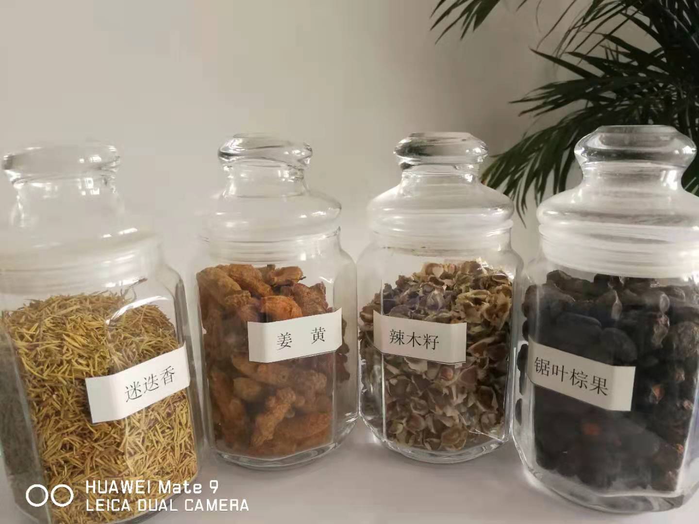 上海美发杏仁油