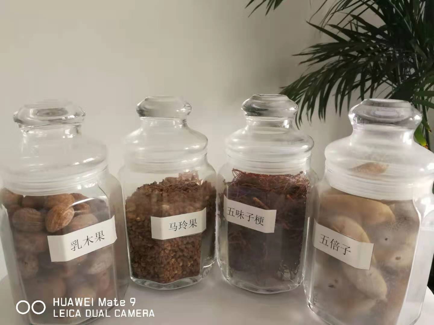 上海有机油茶籽油原油